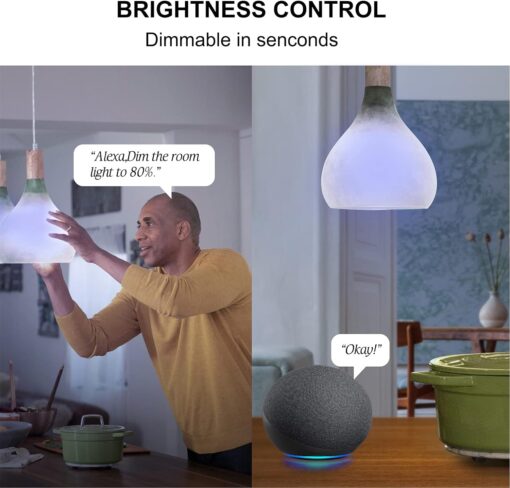 Sengled WiFi Color Changing Light Bulb